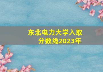 东北电力大学入取分数线2023年