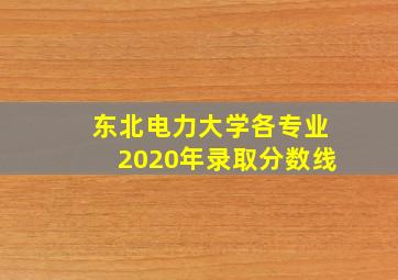 东北电力大学各专业2020年录取分数线