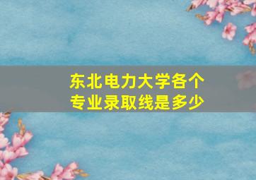 东北电力大学各个专业录取线是多少