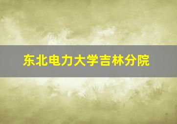 东北电力大学吉林分院