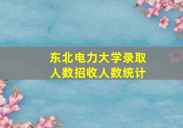 东北电力大学录取人数招收人数统计