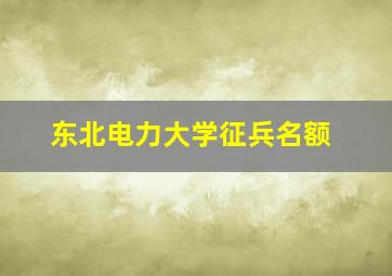 东北电力大学征兵名额