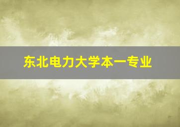 东北电力大学本一专业