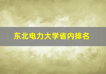 东北电力大学省内排名