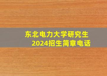 东北电力大学研究生2024招生简章电话