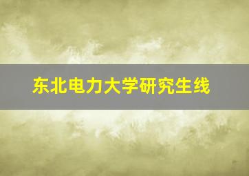 东北电力大学研究生线