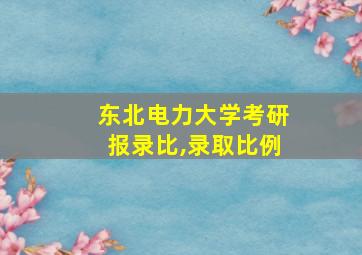 东北电力大学考研报录比,录取比例