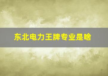 东北电力王牌专业是啥