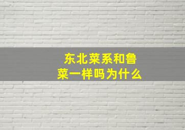 东北菜系和鲁菜一样吗为什么