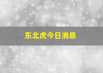 东北虎今日消息