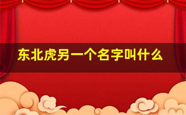 东北虎另一个名字叫什么