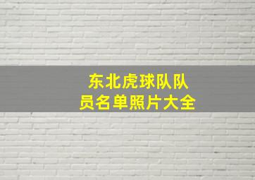 东北虎球队队员名单照片大全