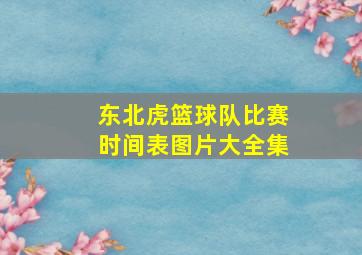 东北虎篮球队比赛时间表图片大全集