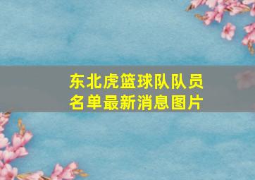 东北虎篮球队队员名单最新消息图片