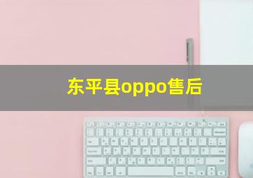 东平县oppo售后