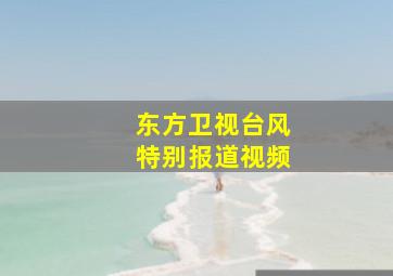 东方卫视台风特别报道视频