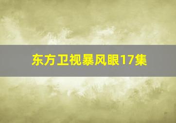 东方卫视暴风眼17集