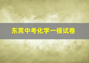 东莞中考化学一模试卷