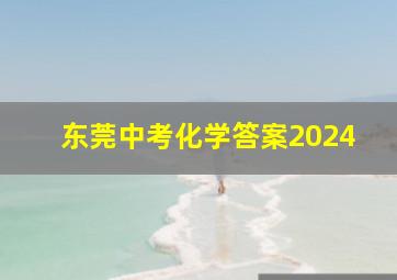 东莞中考化学答案2024