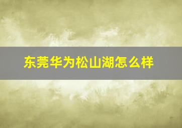 东莞华为松山湖怎么样