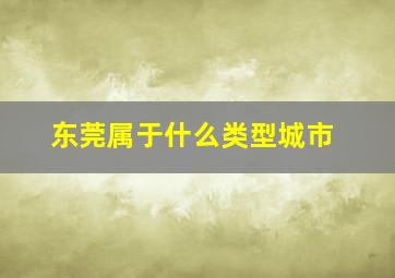 东莞属于什么类型城市