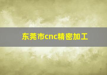 东莞市cnc精密加工