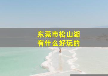 东莞市松山湖有什么好玩的