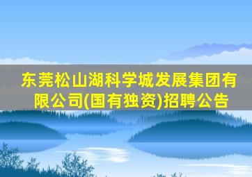 东莞松山湖科学城发展集团有限公司(国有独资)招聘公告