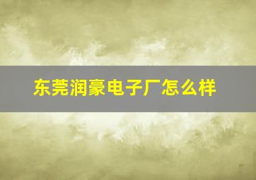 东莞润豪电子厂怎么样