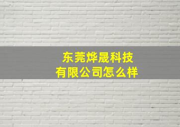 东莞烨晟科技有限公司怎么样