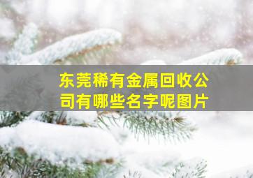 东莞稀有金属回收公司有哪些名字呢图片