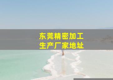 东莞精密加工生产厂家地址