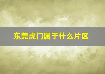 东莞虎门属于什么片区