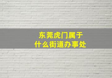 东莞虎门属于什么街道办事处