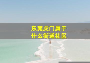 东莞虎门属于什么街道社区