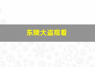 东陵大盗观看