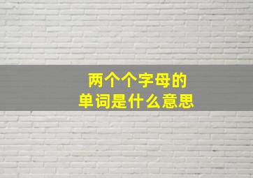 两个个字母的单词是什么意思