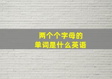 两个个字母的单词是什么英语