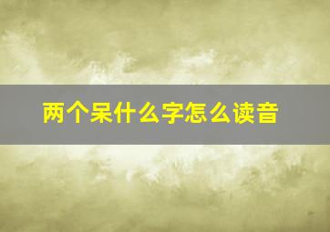 两个呆什么字怎么读音