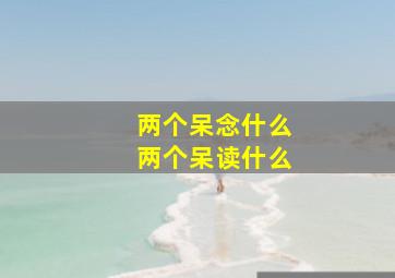 两个呆念什么两个呆读什么