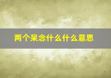 两个呆念什么什么意思