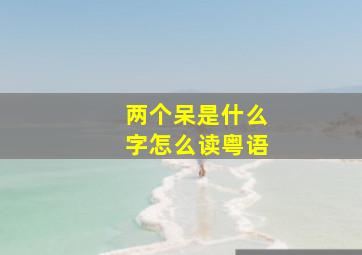 两个呆是什么字怎么读粤语