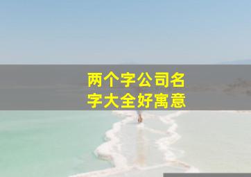 两个字公司名字大全好寓意