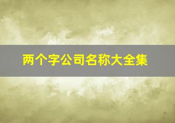 两个字公司名称大全集