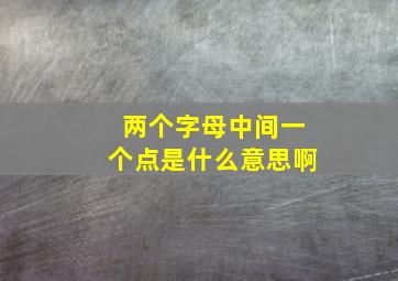 两个字母中间一个点是什么意思啊