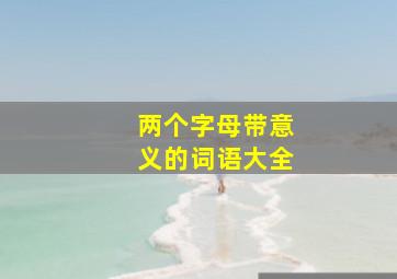 两个字母带意义的词语大全