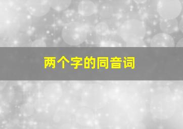 两个字的同音词