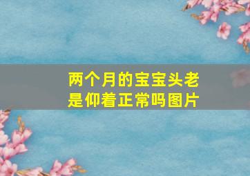 两个月的宝宝头老是仰着正常吗图片