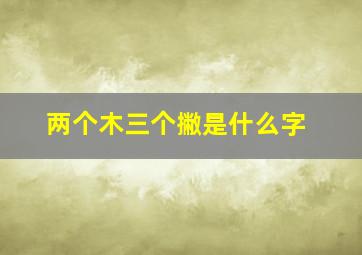 两个木三个撇是什么字