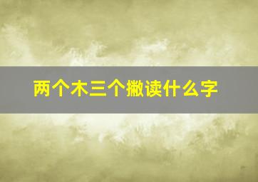 两个木三个撇读什么字